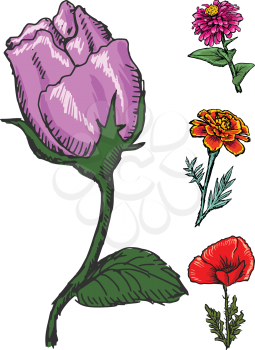 Rose and different flowers, set of vectors, summer motive