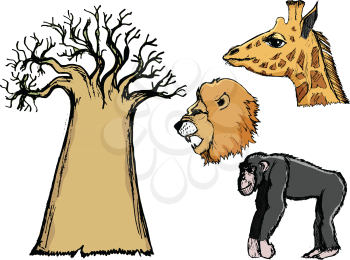 Wildlife of Africa, set of vector images with lion