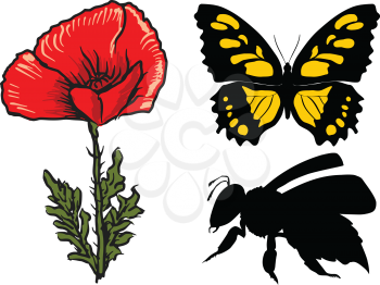 poppy, bee and butterfly, springtime motives