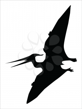silhouette of pterodactyl, ancient flying monster