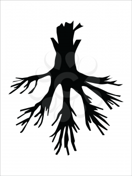 silhouette of root of tree, garden motive