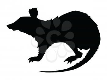 silhouette of rat, motive of wildlife