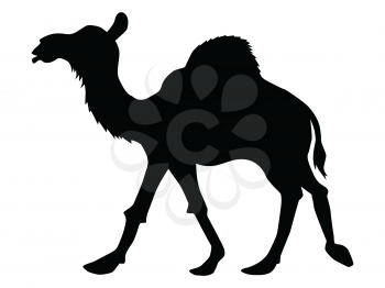 silhouette of camel, animals motive