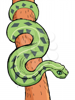 Vector, colored, hand drawn image of Amazonian anaconda. Motives of wildlife, saving nature, symbol of wisdom, big snake