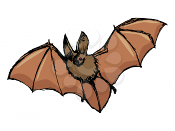Vector, hand drawn, sketch, cartoon illustration of flying bat. Motives of horror, mystery, Halloween, wildlife, vampire, spooky