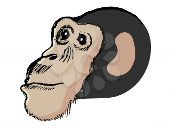 Vector, hand drawn, sketch, cartoon illustration of chimpanzee. Motives of African wildlife, life of nature, apes, intelligent animals, mammals