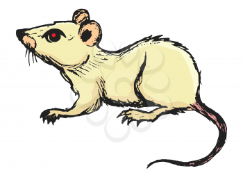 Mouse, domestic pest. Motives of zoolife, nature. Vector illustration