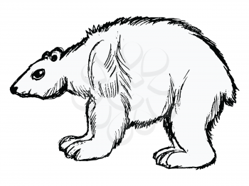 Vector, hand drawn, sketch, cartoon illustration of polar bear. Side view. Motives of wildlife, travel, exotic animals, ecology, global warming