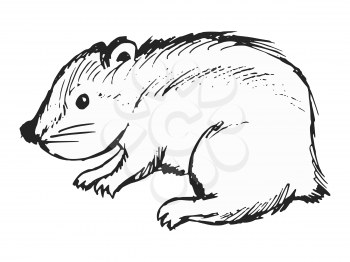 Vector, sketch illustration of lemming. Motives of wildlife, rodents, animals