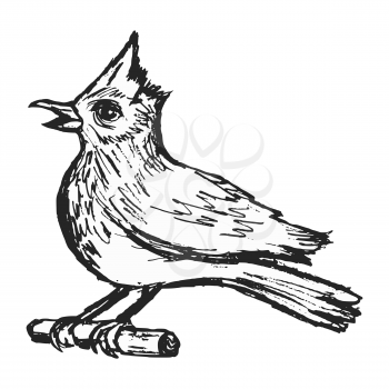 Vector, sketch illustration of skylar. Black and white image. Side view. Symbol of spring. Motives of wildlife, meadow, birds