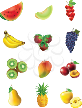Royalty Free Clipart Image of a Set of Fruits and Vegetables