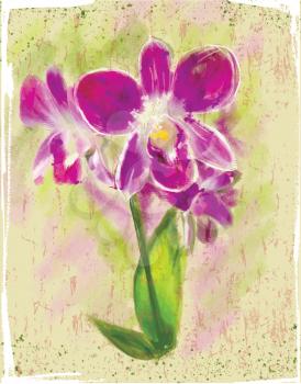 Aquarelle picture: a bouquet of orchids