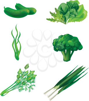 Set of green vegetables. Vector