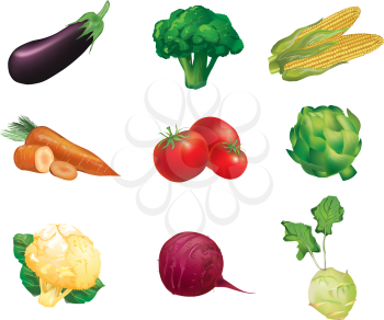 Vegetables, set of isolated, detailed vector illustrations and icons - 
eggplant, broccoli, corn, carrot, tomato, artichoke, cauliflower, beets, celery