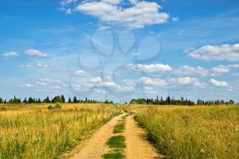 Royalty Free Photo of a Dirt Path in the Country