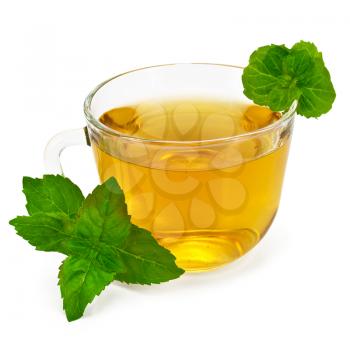 Royalty Free Photo of Herbal Tea With Mint