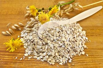 Royalty Free Photo of Oatmeal With Yellow Flowers on a Wooden Board
