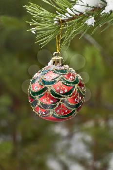 Red with green, silver and gold ornaments Christmas ball on a branch of pine in the background trees and snow
