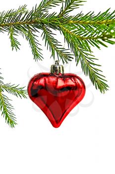 Christmas Toy in the form of heart on the green fir branch isolated on white background