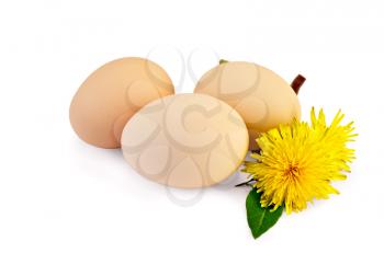 Three chicken eggs with leaf and two flowers of dandelion isolated on white background