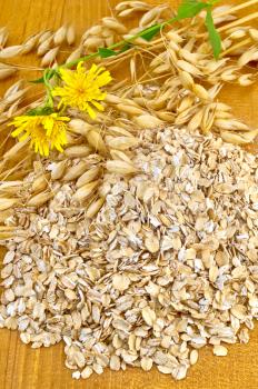 Oat flakes with yellow wild flowers and stems of oats on a wooden board