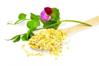 Pea flakes in a spoon and a table with a flower and green leaves isolated on white background