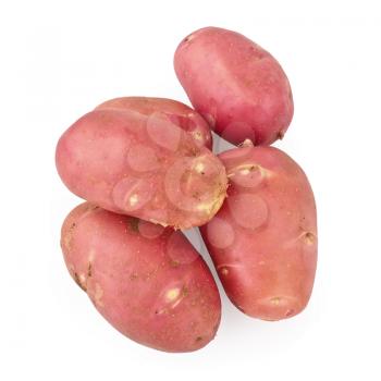 Five red potatoes isolated on a white background
