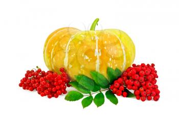Yellow pumpkin with berries viburnum and rowan and green leaf isolated on white background