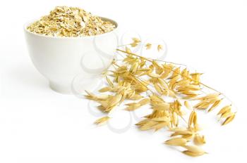 Oat flakes in a tea cup, ripe stalks of oats isolated on a white background