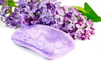 One bar of lavender soap with a sprig of lilac blossoms isolated on white background