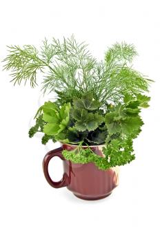 Parsley, celery and fennel in a ceramic mug isolated on a white background