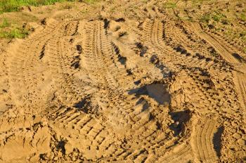 Tire tracks of different cars on the golden sand