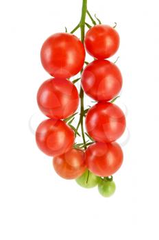 A cluster of small red tomatoes on a branch isolated on white background