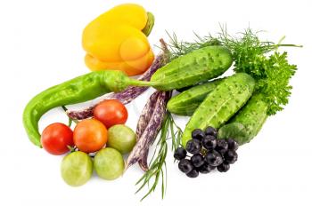 Brush small tomatoes, cucumbers, sweet and hot peppers, the three pods of beans, parsley, dill, tarragon and black chokeberry brush isolated on white background