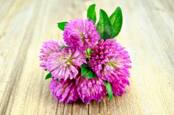 Bouquet of pink clover on a background of the old board