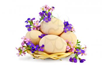 Chicken eggs in a wicker tray with pink and purple flowers isolated on white background