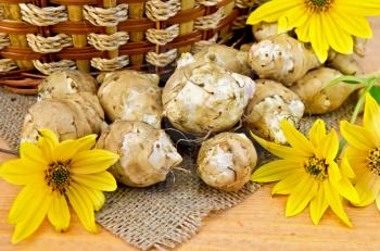 Tubers and yellow flowers of Jerusalem artichoke, wicker basket on a background of burlap cloth and wooden board