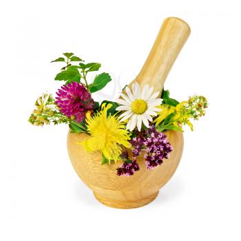Mortar with a sprig of mint, flowers of chamomile, clover, oregano, mignonette, elecampane isolated on white background