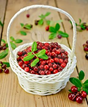 Lingonberry with leaves in a white wicker basket, twigs with leaves and red ripe berries cranberries against a wooden boardberry on 