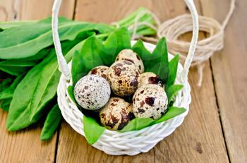 Quail eggs in a white wicker basket with sorrel, a coil of rope on the background of wooden boards