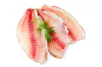 Tilapia fillets with dill isolated on a white background