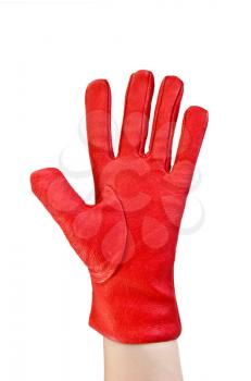 Red leather glove on the hand isolated on white background