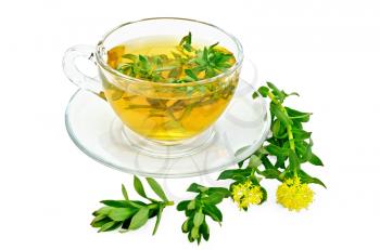 Healing herbal tea in glass cup with flowers Rhodiola rosea is isolated on a white background
