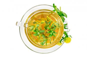 Healing herbal tea in glass cup with flowers Rhodiola rosea is isolated on a white background with a top