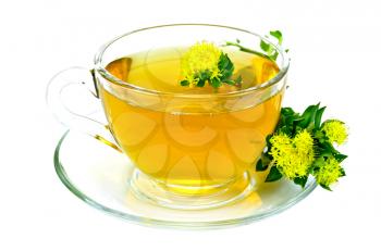 Healing herbal tea in glass cup with flowers Rhodiola rosea on the saucer isolated on white background