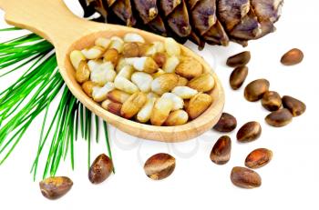 Cedar nuts and bump, cedar nut kernels in a wooden spoon and a green sprig of cedar isolated on white background