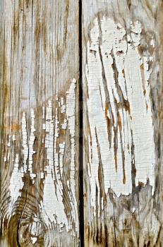 The texture of the old boards with peeling white paint