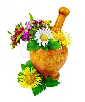 Sprigs of mint, lemon balm, flowers of oregano, tansy, chamomile, elecampane, bergamot in a wooden mortar on the table isolated on white background