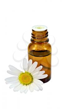 Oil in a bottle, chamomile flower isolated on white background