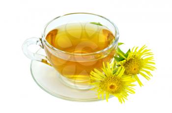 Herbal tea in a glass cup and saucer, yellow flowers of elecampane isolated on a white background